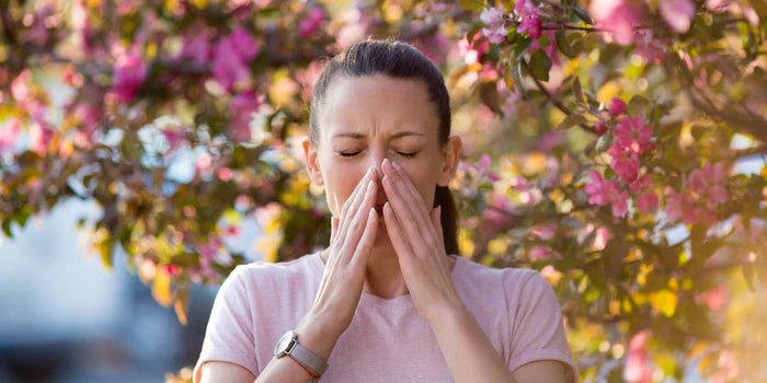 Woman walking through a blooming South African spring garden with flowers and pollen in the air
