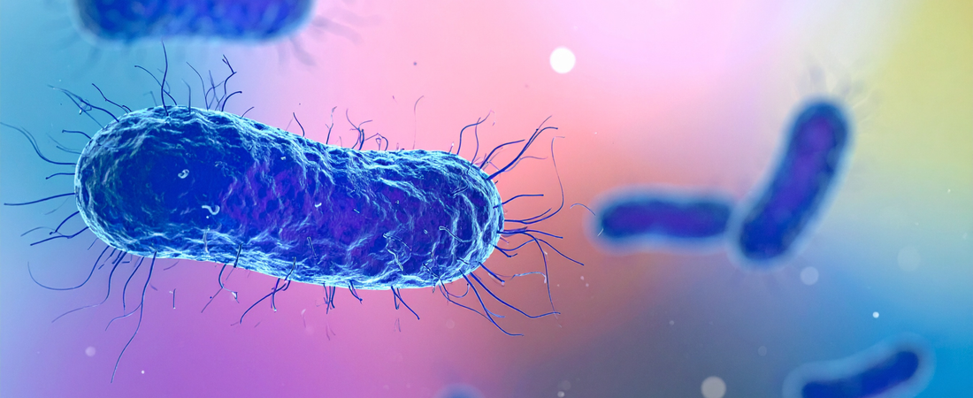Person washing hands with soap and water surrounded by illustrated microbes and healthy immune system icons