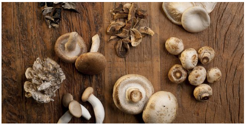 Assortment of dried medicinal mushrooms including reishi, lion's mane, and chaga on a wooden surface