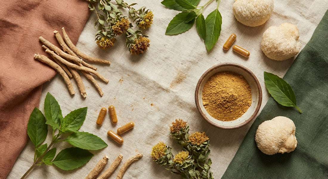 Selection of adaptogenic herbs including ashwagandha and rhodiola on a wooden surface
