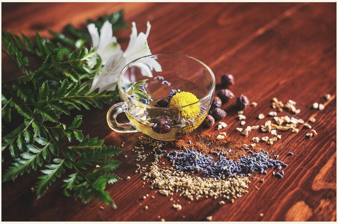 Warm winter drinks including hot chocolate and herbal lattes on a cosy table setting