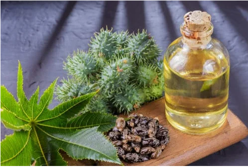 Bottle of castor oil next to castor beans and green Ricinus communis leaves on a wooden surface