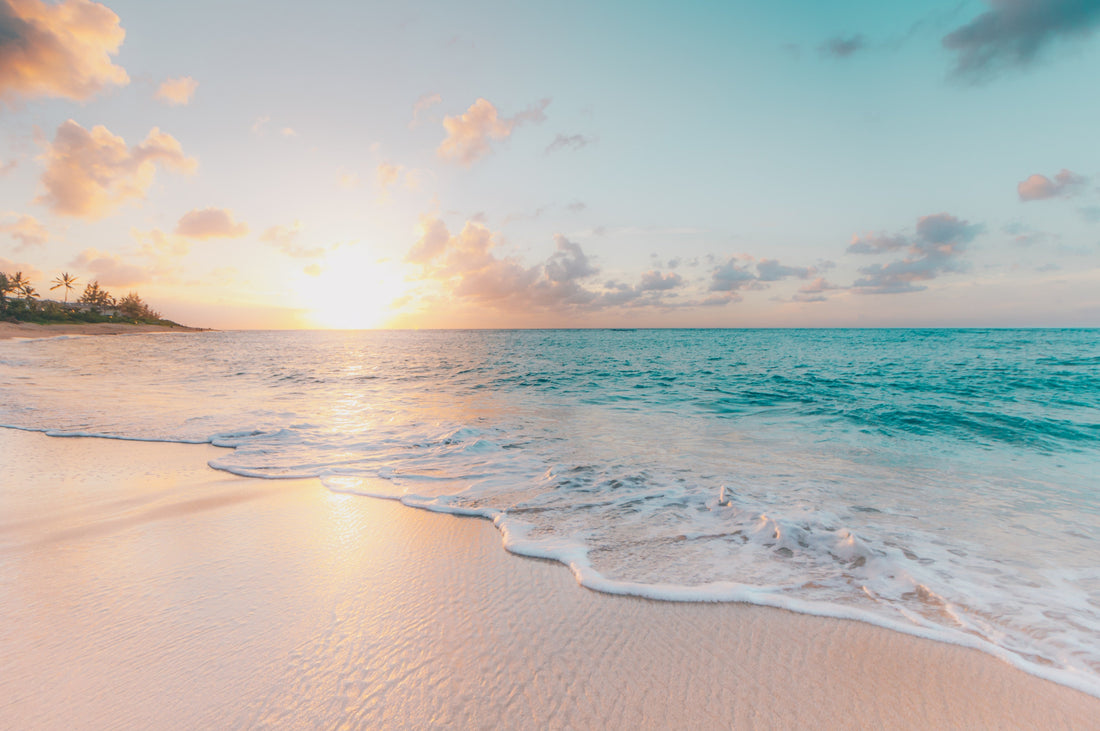 Travel wellness essentials including supplements and health products packed in a carry-on bag