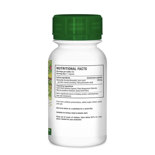 NUTRIHERB - Boswellia 60 Capsules | One Life Health