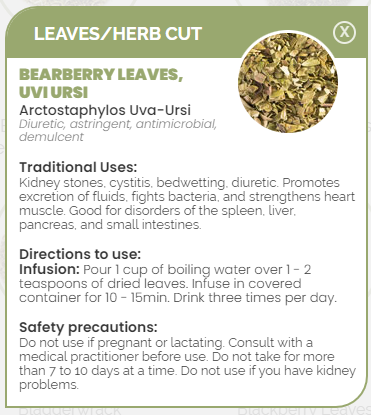 PHARMA GERMANIA - Bearberry Leaves - 100g | One Life Health