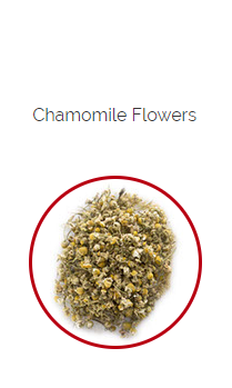 PHARMA GERMANIA - Chamomile Flowers - 75g | One Life Health