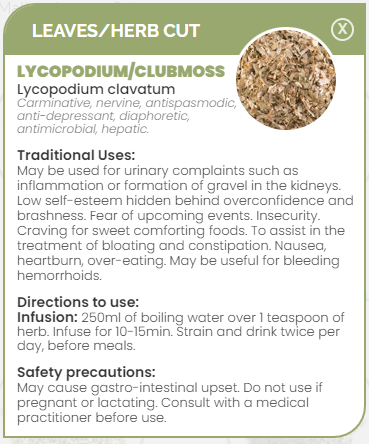 PHARMA GERMANIA - Lycopodium Clubmoss - 100g | One Life Health