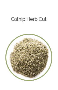PHARMA GERMANIA - Catnip Herb Cut - 75g | One Life Health