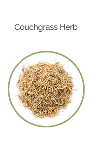 PHARMA GERMANIA - Couchgrass Herb - 100g | One Life Health