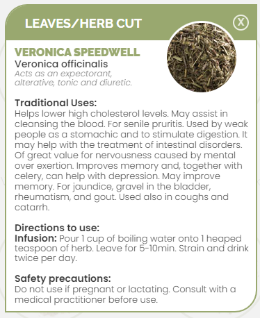 PHARMA GERMANIA - Veronica Speedwell - 75g | One Life Health