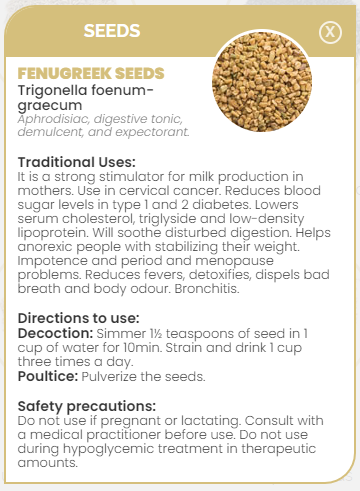PHARMA GERMANIA - Fenugreek Seeds - 100g | One Life Health