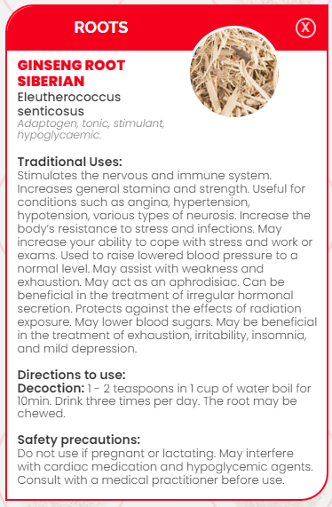 PHARMA GERMANIA - Ginseng Root - 50g | One Life Health