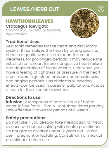 PHARMA GERMANIA - Hawthorn Leaves - 75g | One Life Health