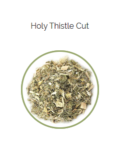 PHARMA GERMANIA - Holy Thistle Cut - 75g | One Life Health