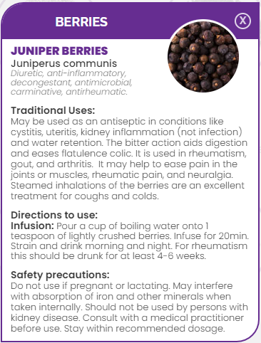 PHARMA GERMANIA - Juniper Berries - 100g | One Life Health