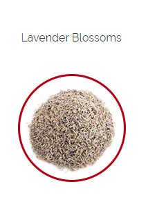 PHARMA GERMANIA - Lavender Blossoms - 75g | One Life Health