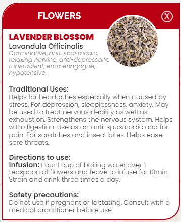 PHARMA GERMANIA - Lavender Blossoms - 75g | One Life Health
