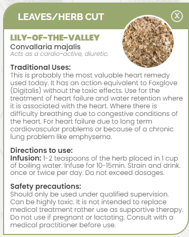 PHARMA GERMANIA - Lily-of-the-Valley - 75g | One Life Health