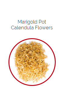 PHARMA GERMANIA - Marigold Pot Calendula Flowers - 50g | One Life Health