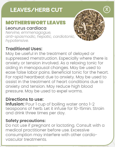 PHARMA GERMANIA - Motherswort - 100g | One Life Health