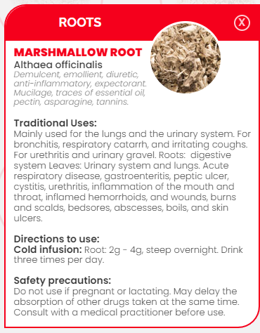 PHARMA GERMANIA - Marshmallow Root Powder - 75g | One Life Health