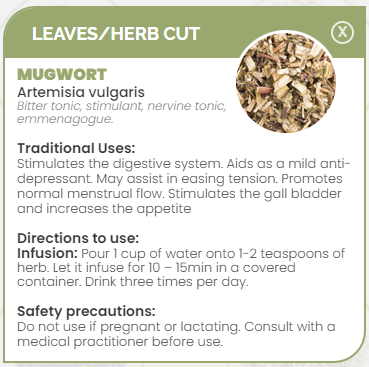 PHARMA GERMANIA - Mugwort - 75g | One Life Health