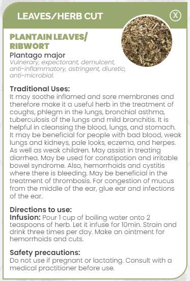 PHARMA GERMANIA - Plantain Leaves - 75g | One Life Health