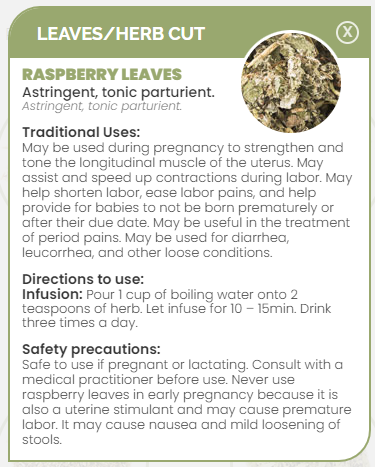 PHARMA GERMANIA - Raspberry Leaves - 75g | One Life Health