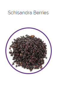 PHARMA GERMANIA - Schisandra Berries - 75g | One Life Health