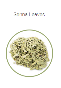 PHARMA GERMANIA - Senna Leaves - 100g | One Life Health