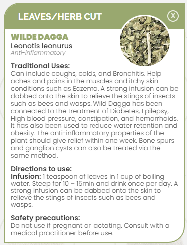 PHARMA GERMANIA - Wild Dagga - 75g | One Life Health