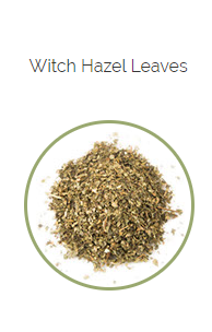 PHARMA GERMANIA - Witch Hazel Leaves - 100g | One Life Health