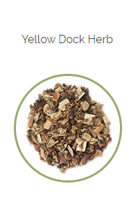 PHARMA GERMANIA - Yellow Dock - 75g | One Life Health