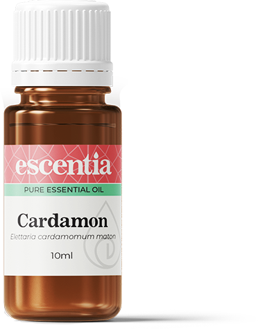 ESCENTIA - Caraway Essential Oil - 10ml | One Life Health