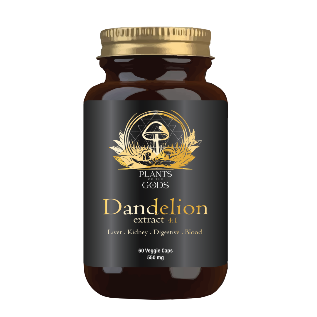 PLANTS OF THE GODS - Dandelion Extract 4:1 550mg - 60 Capsules | One Life Health