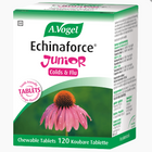 A.VOGEL - Echinaforce® Junior Tablets - 120 Chewable Tablets