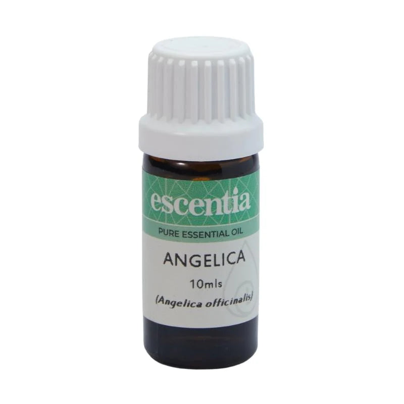 ESCENTIA - Angelica Essential Oil - 10ml | One Life Health