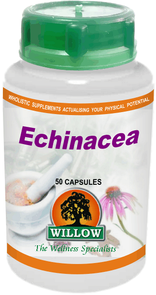 WILLOW - Echinacea - 50 Capsules | One Life Health