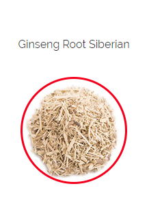 PHARMA GERMANIA - Ginseng Root - 50g | One Life Health