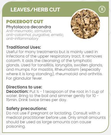 PHARMA GERMANIA - Poke Root - 100g | One Life Health