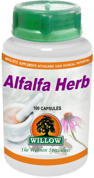 WILLOW - Alfalfa Herb - 100 Capsules