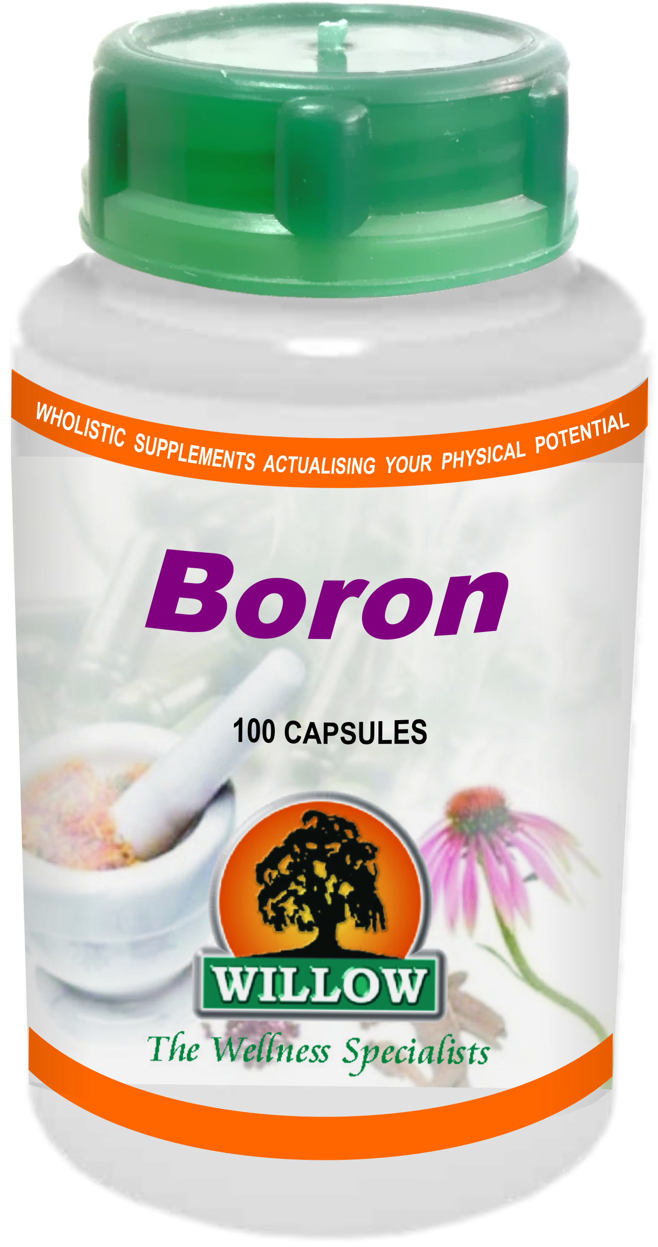 WILLOW - Boron - 100 Capsules | One Life Health