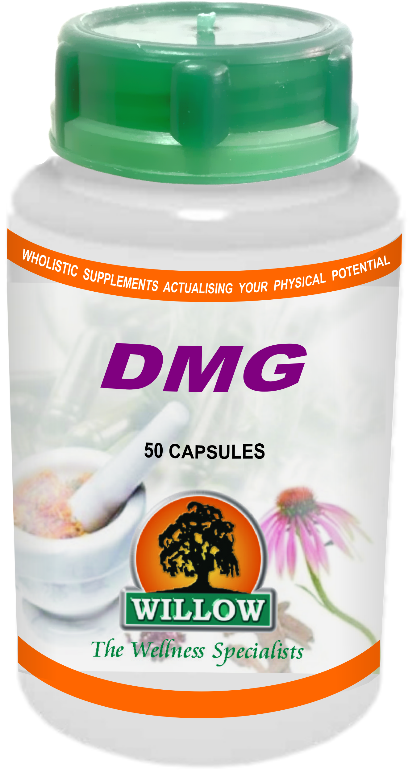 WILLOW - DMG - 50 Capsules | One Life Health