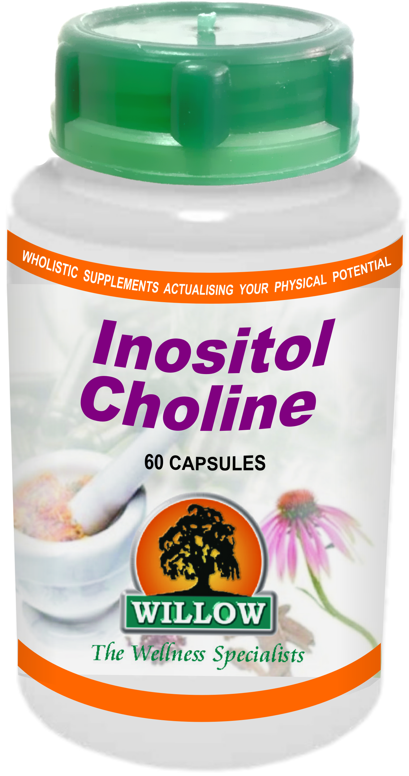 WILLOW - Inositol Choline - 60 Capsules | One Life Health