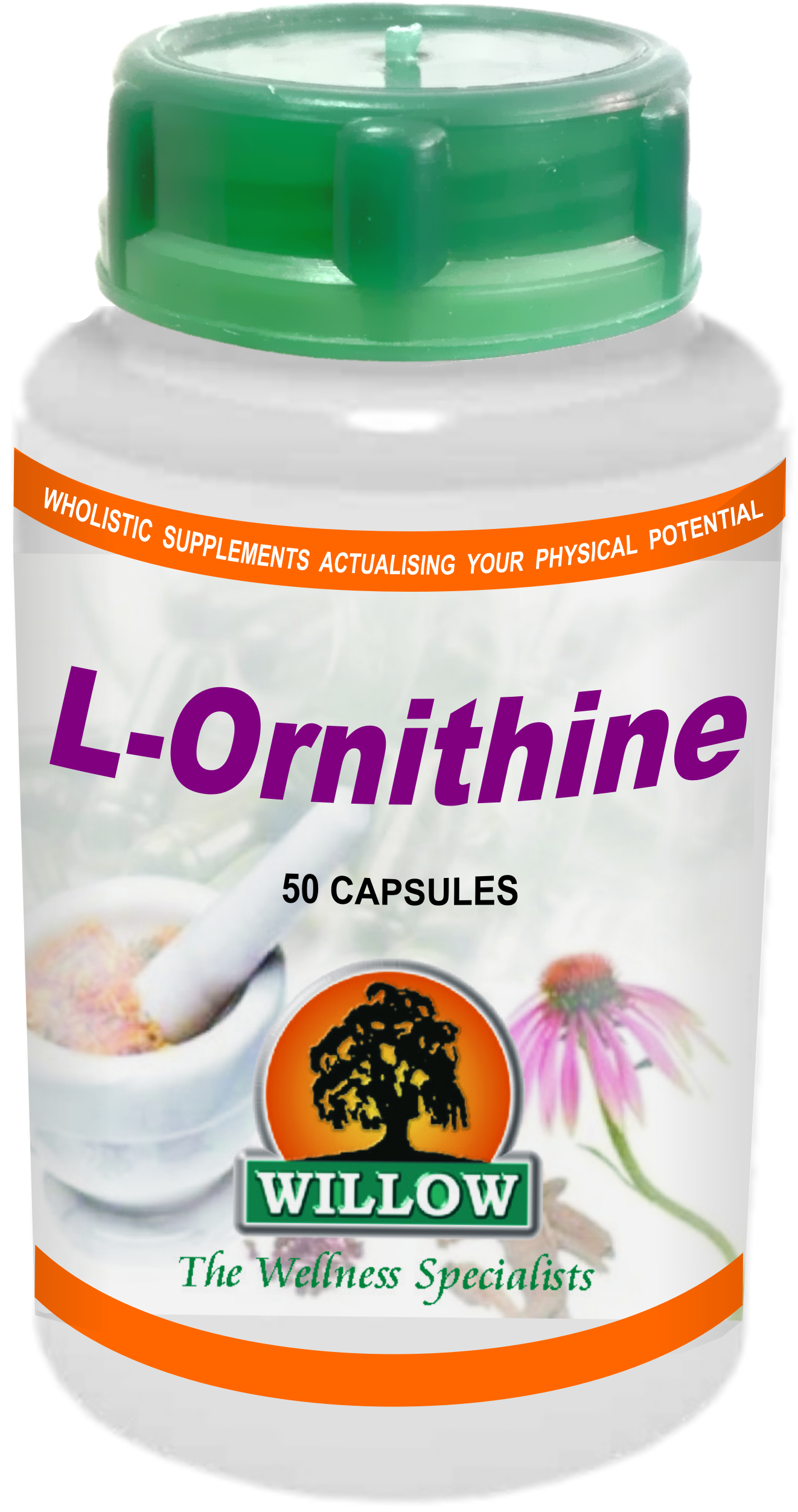 WILLOW - L-Ornithine - 50 Caps | One Life Health