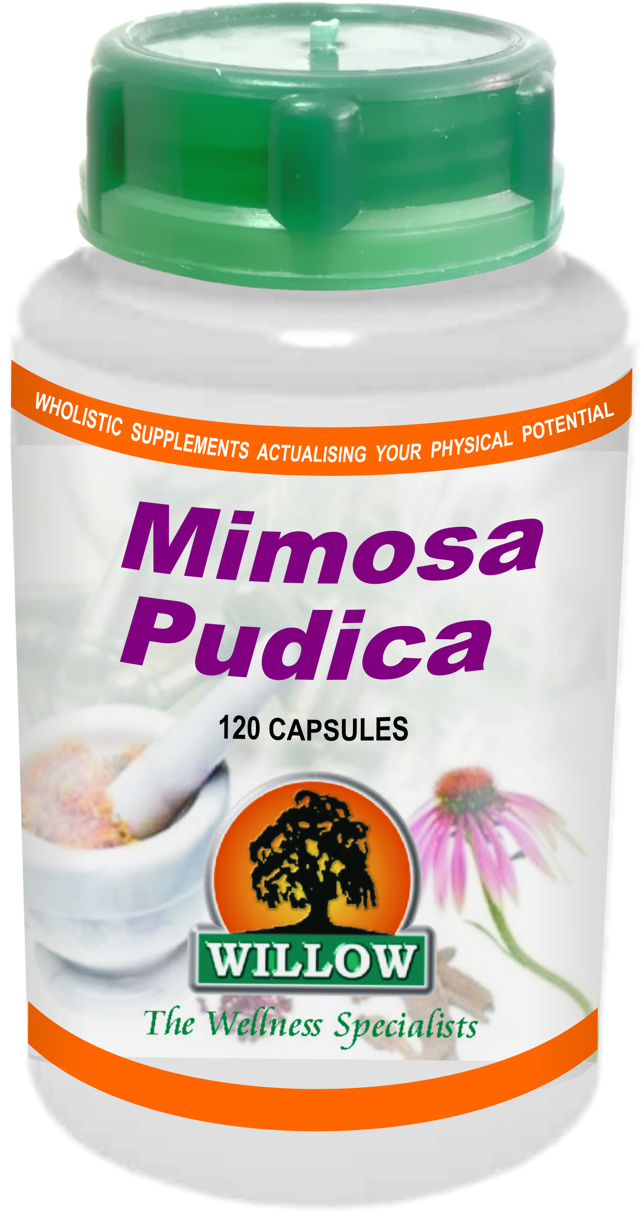 WILLOW - Mimosa Pudica - 120 Capsules | One Life Health