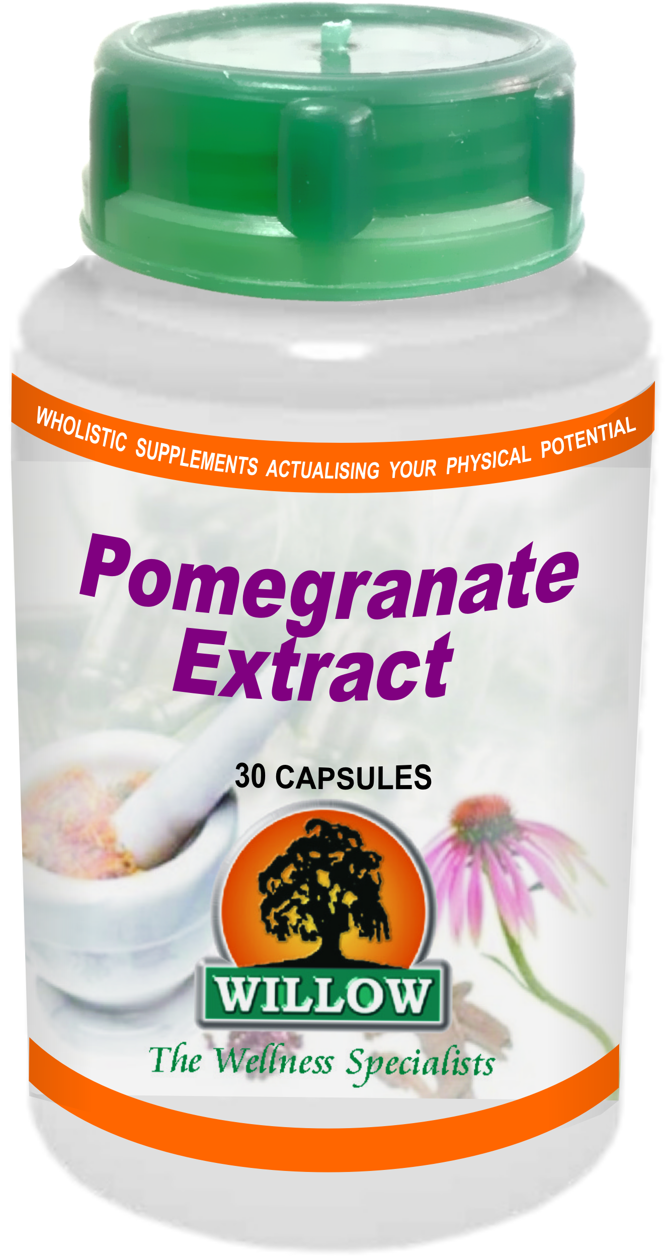 WILLOW - Pomegranate Extract - 30 Capsules | One Life Health
