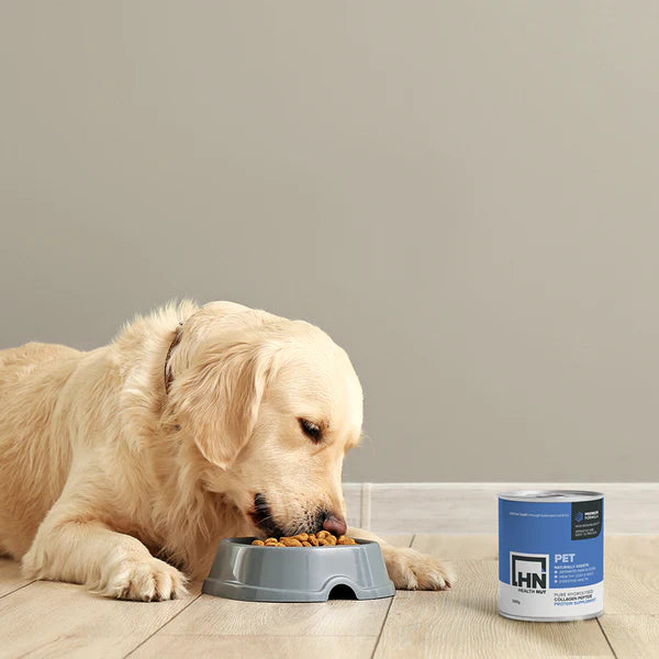 HEALTH NUT SOUTH AFRICA - Pet Collagen 300g | One Life Health