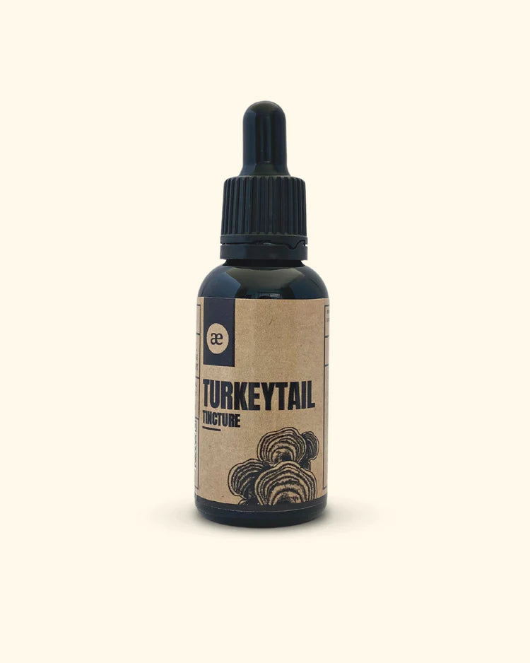 AETHER HERBALIST & APOTHECARY - Turkey Tail 30ml Extract | One Life Health
