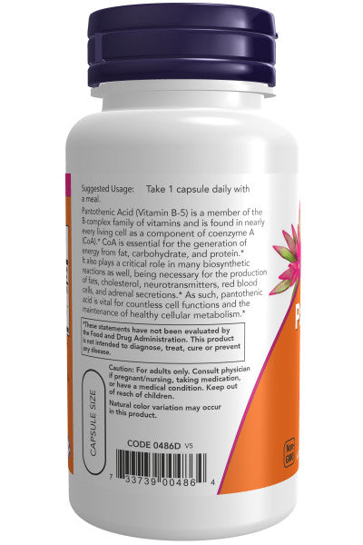 NOW® - Pantothenic Acid 500 mg - 100 Veg Capsules | One Life Health
